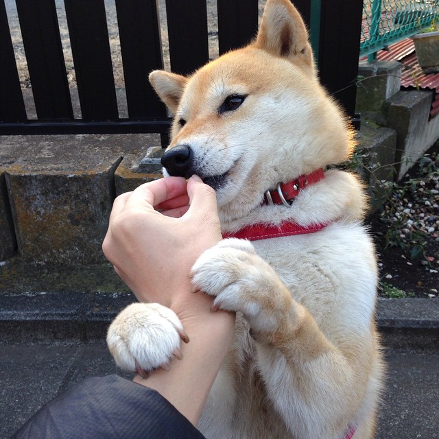 开云娱乐-2025年中国青少年篮球推广计划正式启动，青少年篮球赛事推广