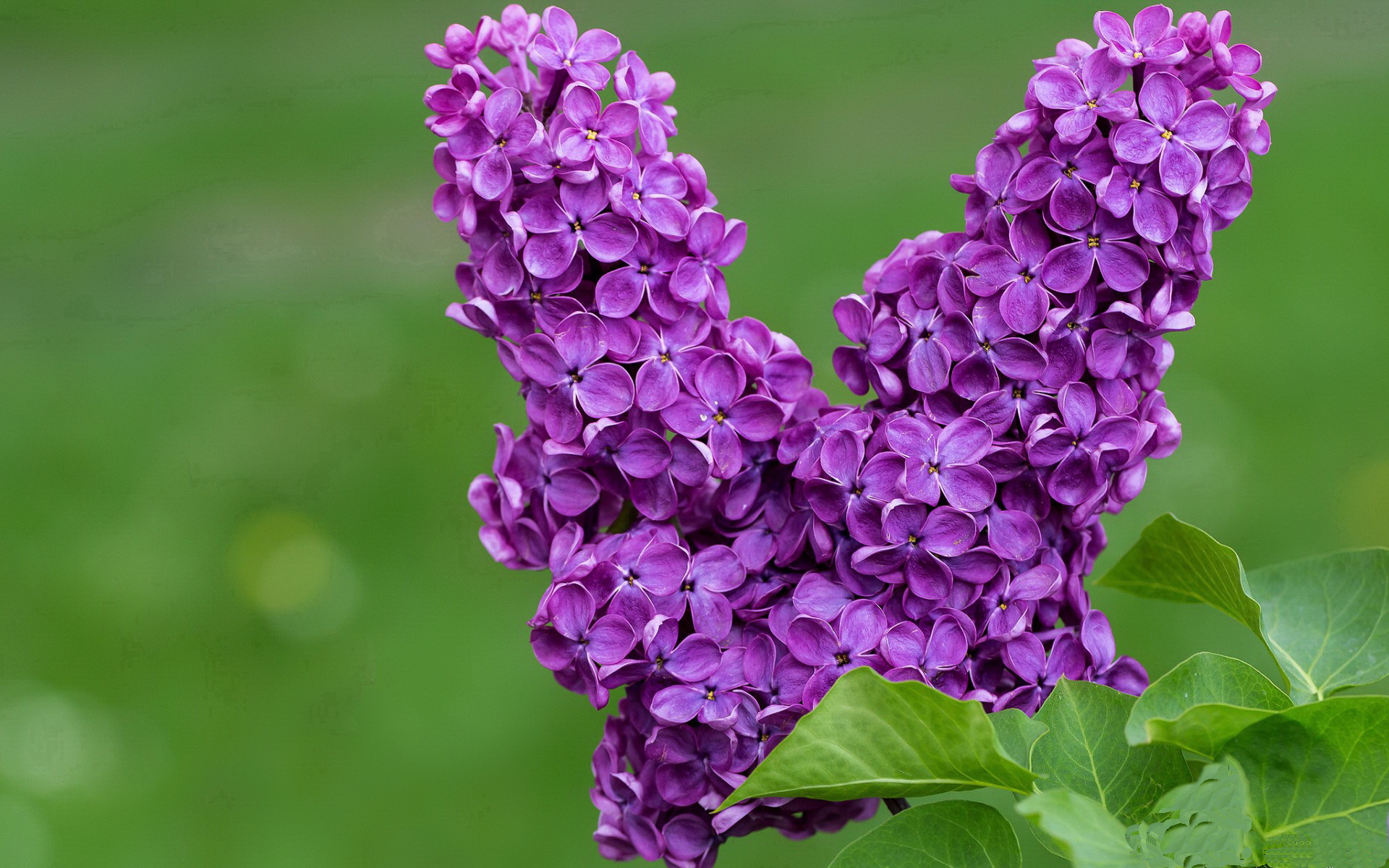 kaiyun.com-2018年西部决赛：库里在第三节一人投中五个三分球，一举扳平系列赛！