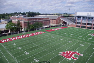 开云官网登录-篮球专项体能训练监测技术及应用实践，篮球项目的体能训练方法